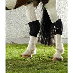 Back on Track Hasebandage - Equinics