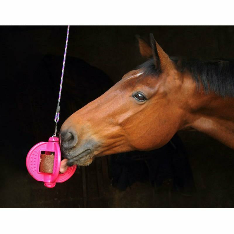 Høbold - Slowfeeder Fun & Flex - Equinics