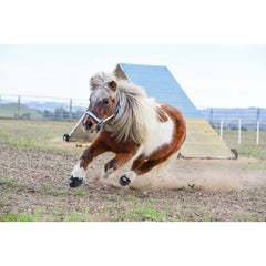Cavallo Hovboots Simple - Equinics
