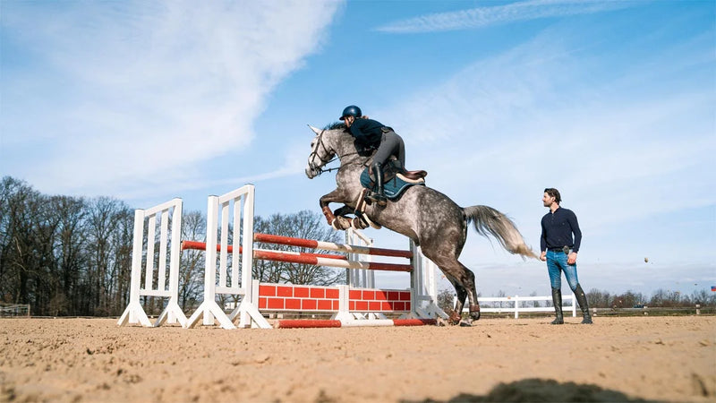 CeeCoach PLUS Single - Equinics