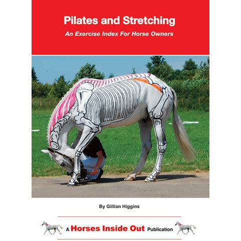 Conditioning Sport Horses - Equinics