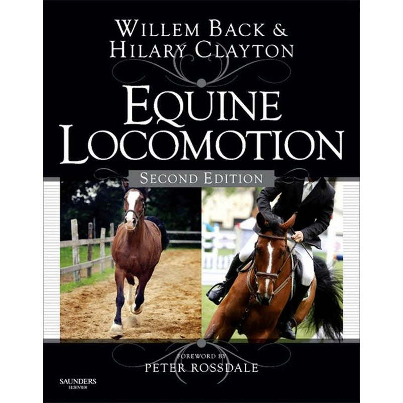 Equine Locomotion - Equinics