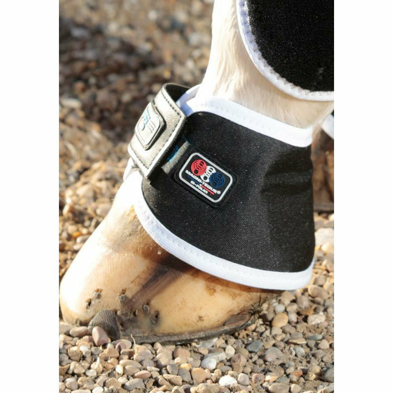 Premier Equine