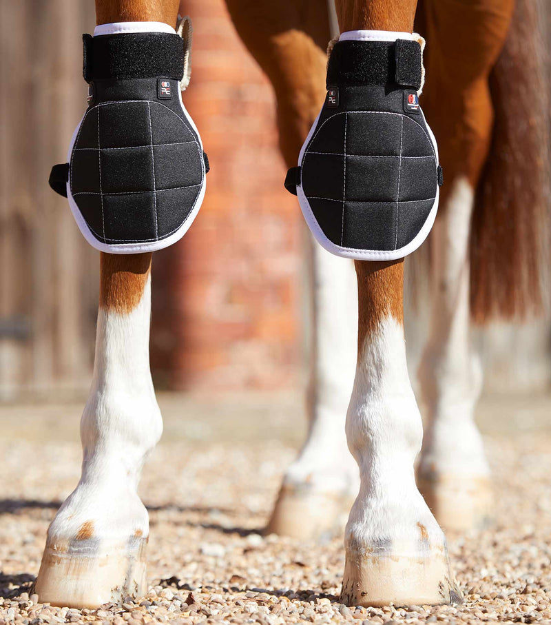 Premier Equine