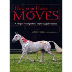 Conditioning Sport Horses - Equinics